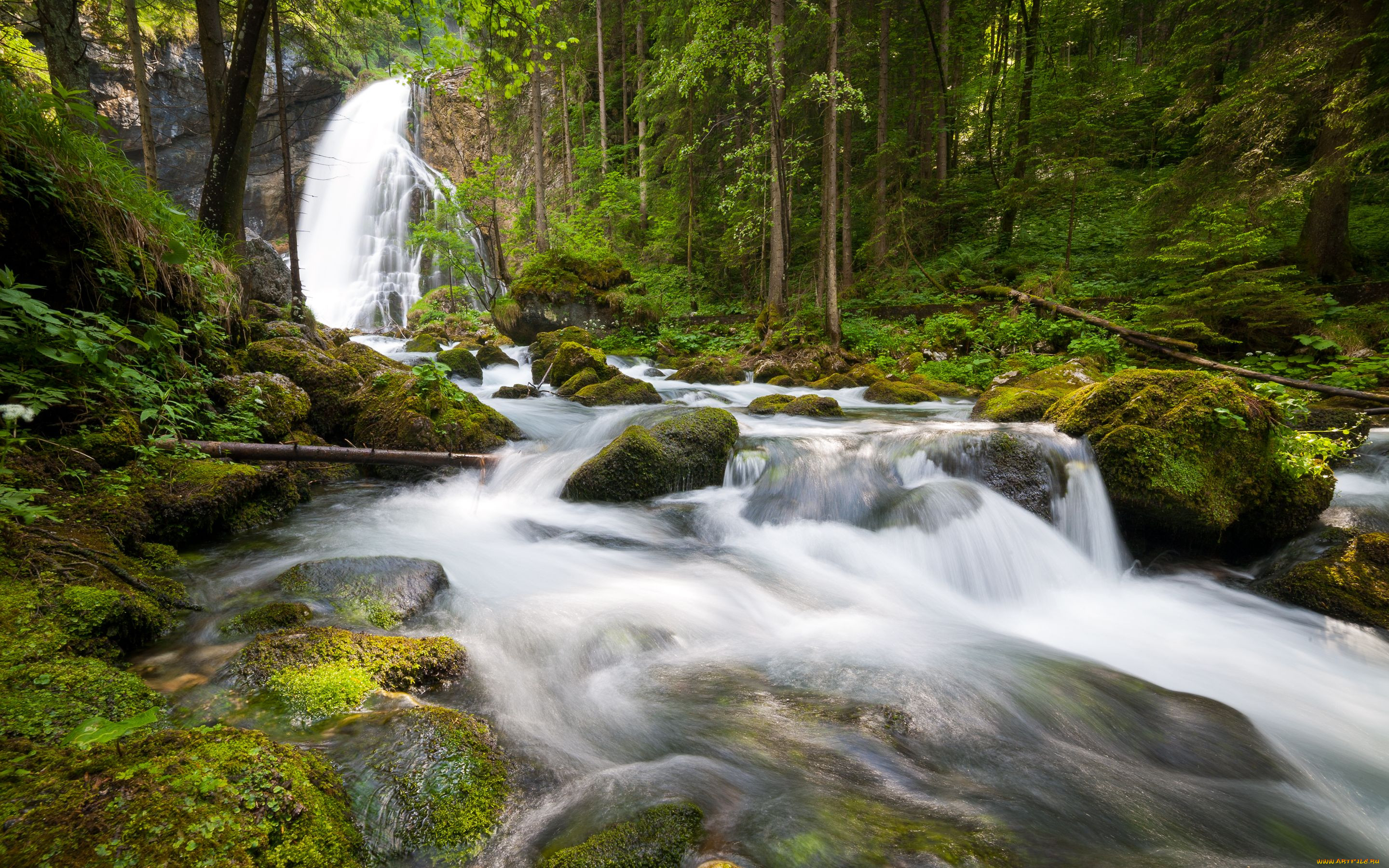 Видео со звуками природы. Шварцвальд водопады. Долина водопадов Карелия. Лесной водопад. Живая природа водопады.